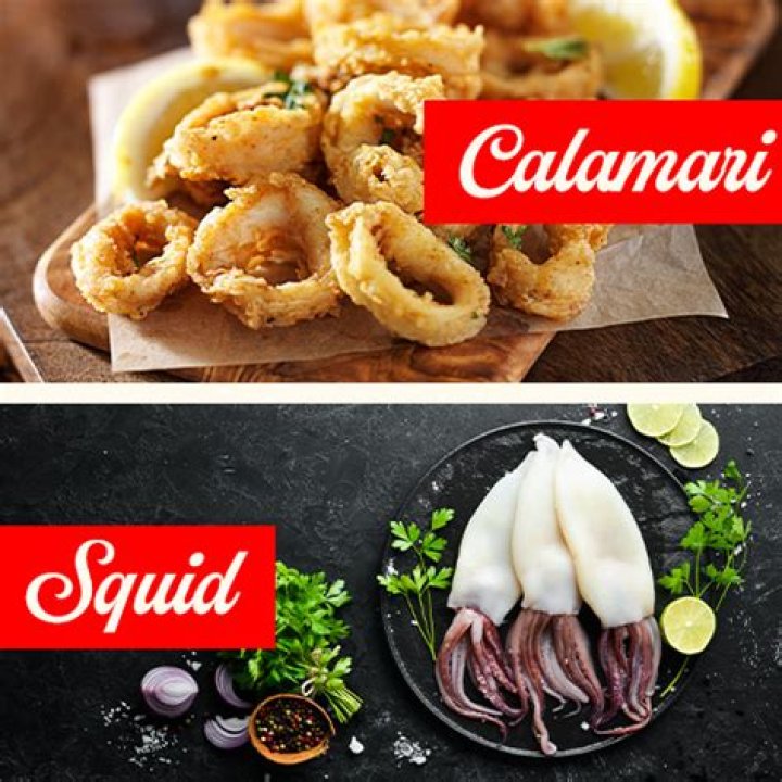 Are squid and calamari the same thing?