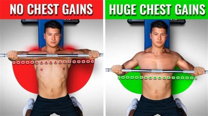 Does benching build biceps?