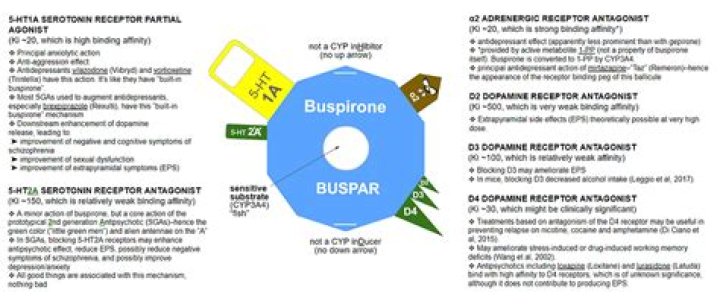 Does BuSpar interact with Ativan?