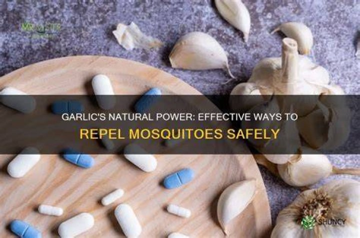 Does garlic water repel mosquitoes?
