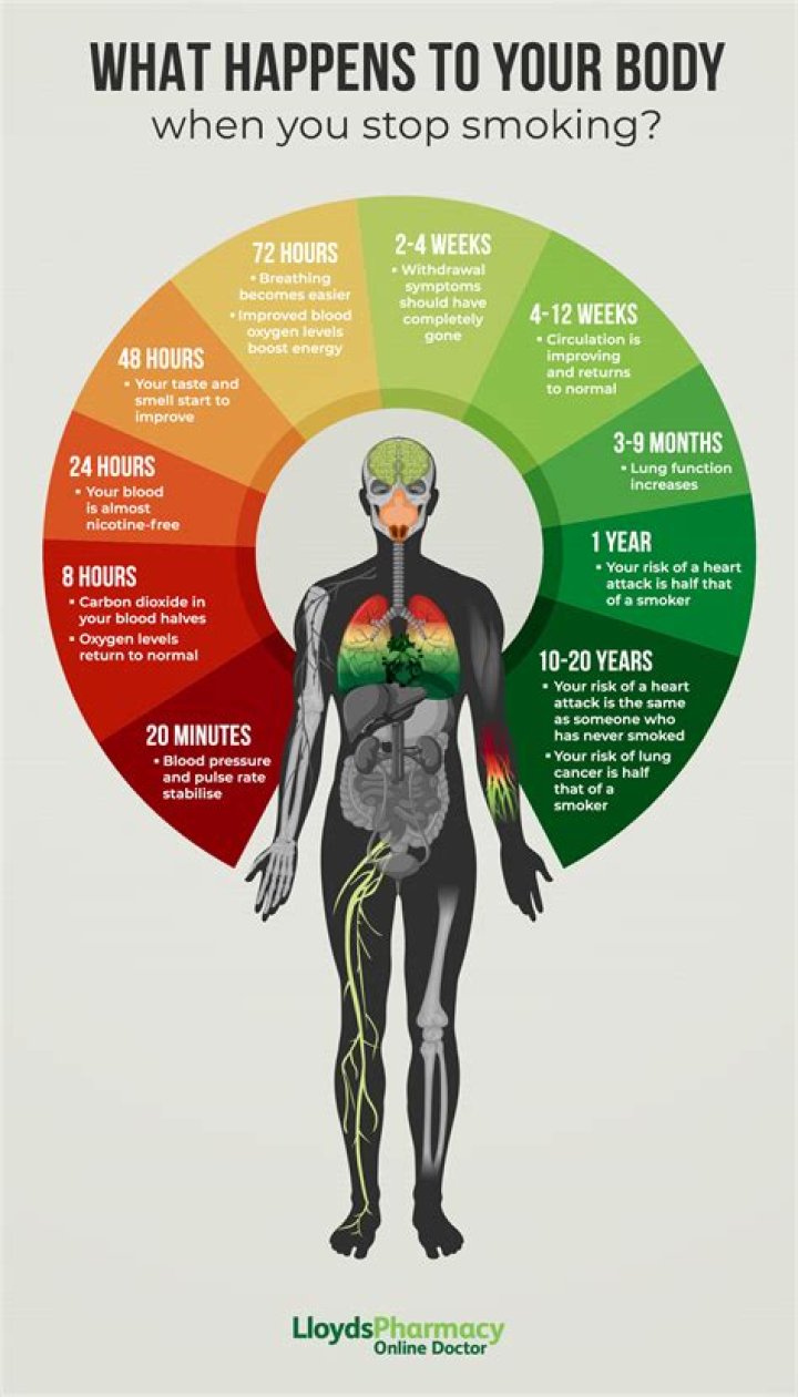 Does smoking improve metabolism? | ContextResponse.com