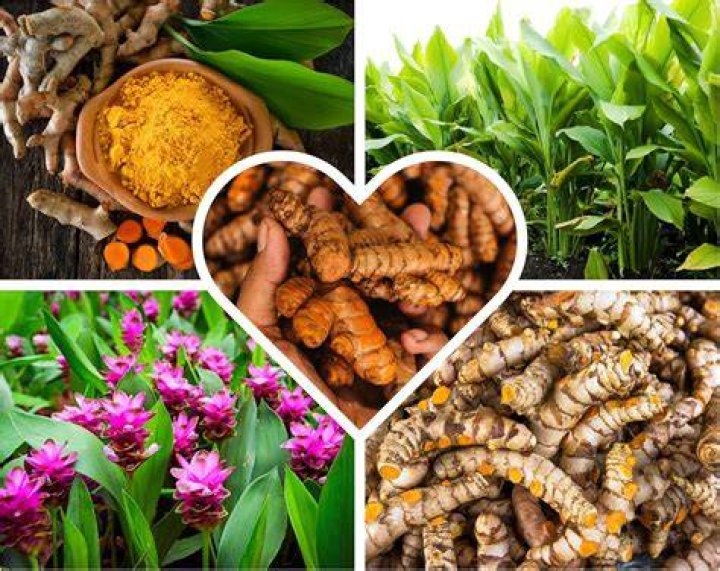 Does turmeric make skin yellow?