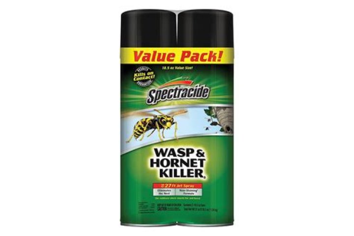 Does wasp killer kill carpenter bees?