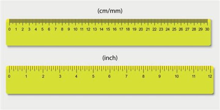 How big is a centimeter on a ruler?