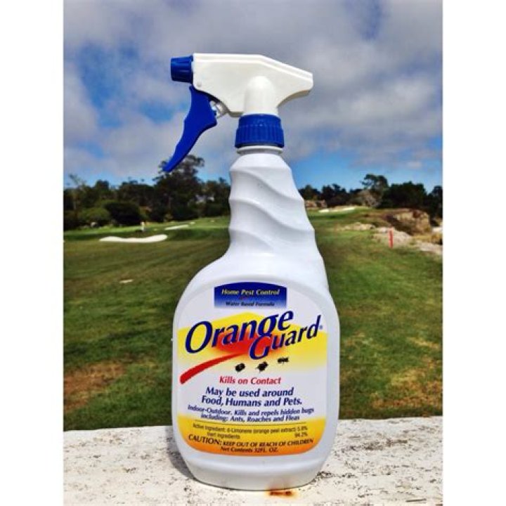 How does Orange Guard work?