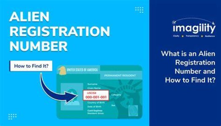 How much is NY registration fee?