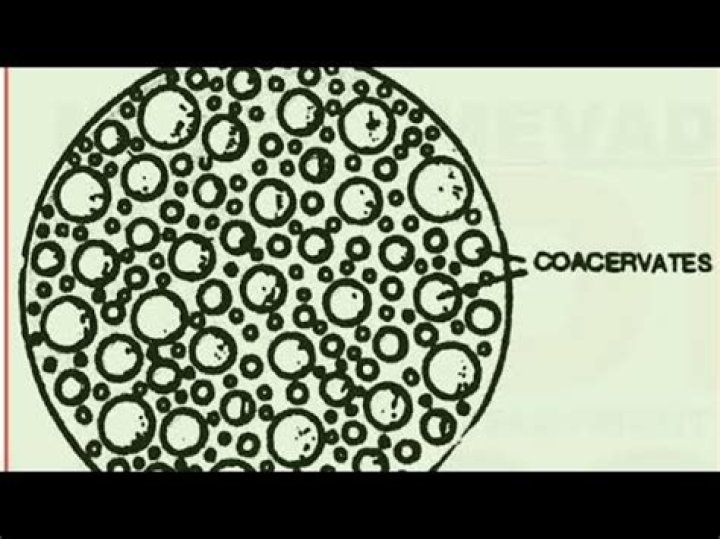 What are Coacervates and microspheres?
