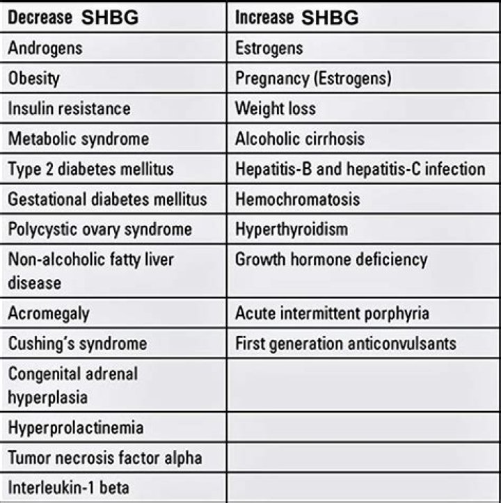 What causes SHBG to increase?