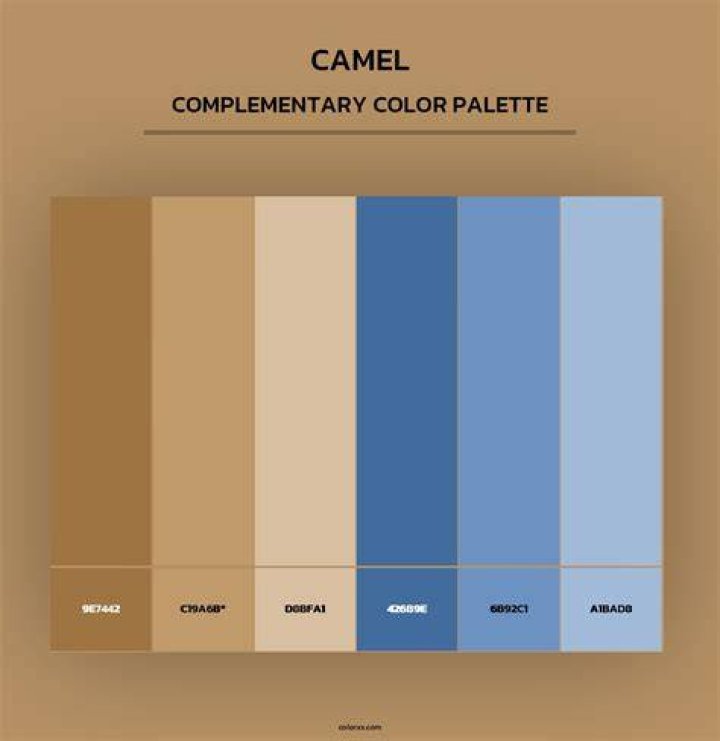 What Colours go with camel?