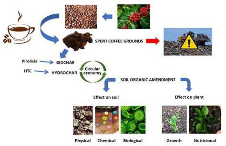 What does soil coffee consist of?