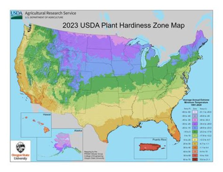 What growing zone is Calgary?