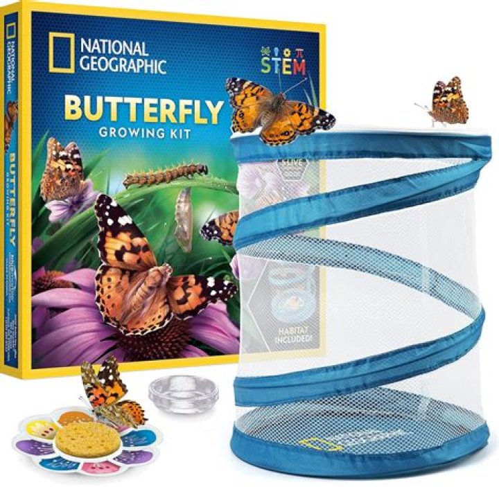 What is a butterfly release?