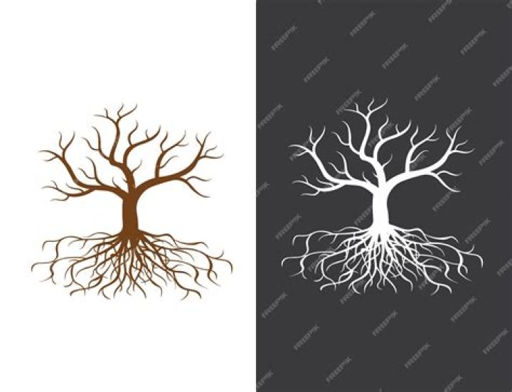 What is a leafless tree called?