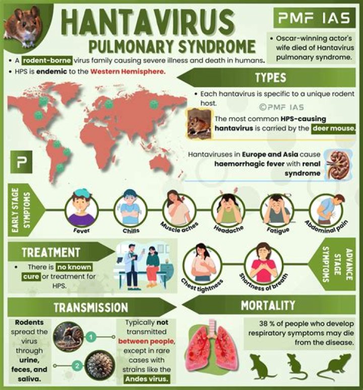 What is a screamer virus?