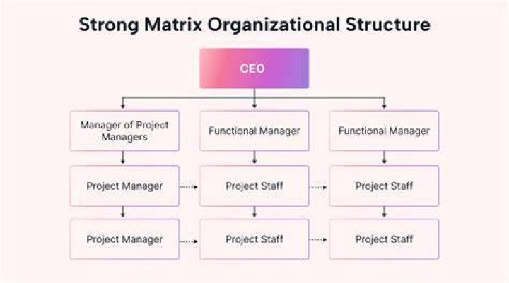 What is a strong matrix organization?