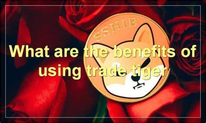 What is trade Tiger?