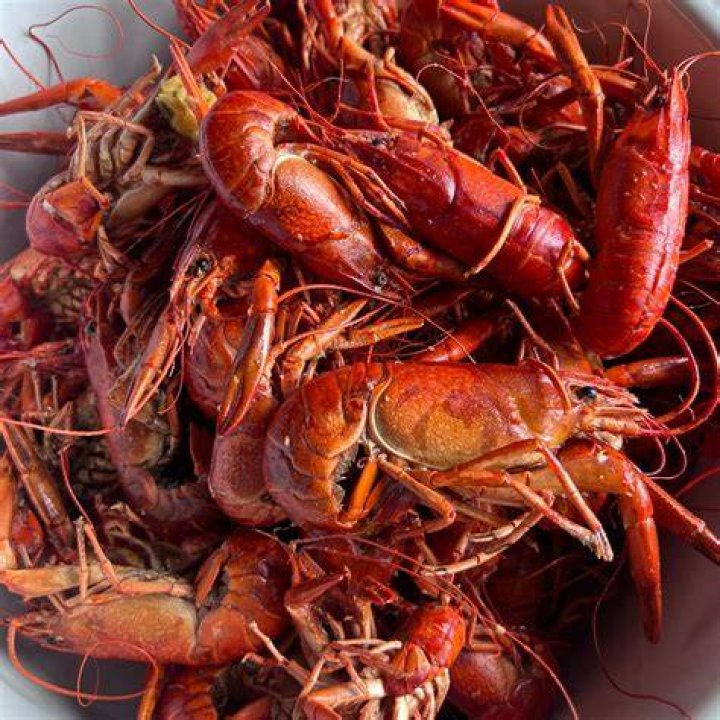 When a lobster grows a new claw?