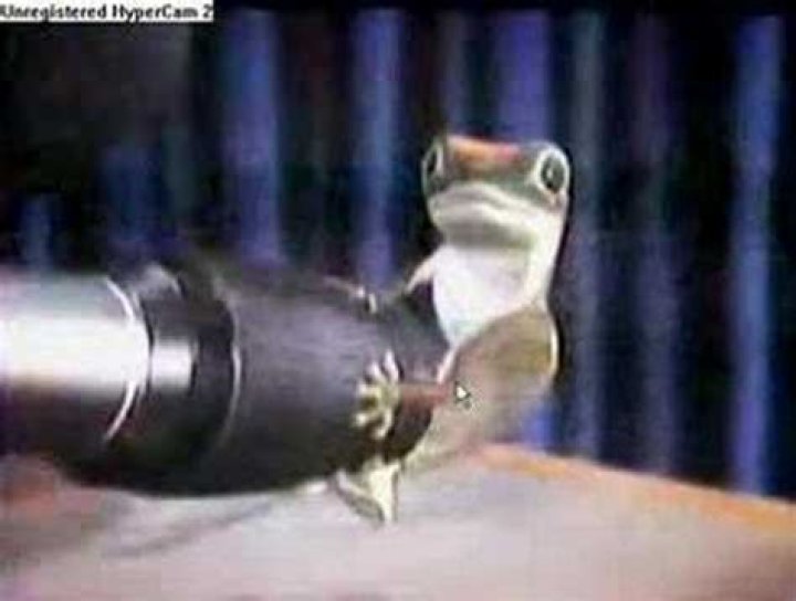 When did Geico start using the gecko?