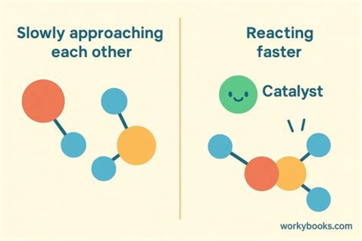 Why do Catalysts speed up reactions?