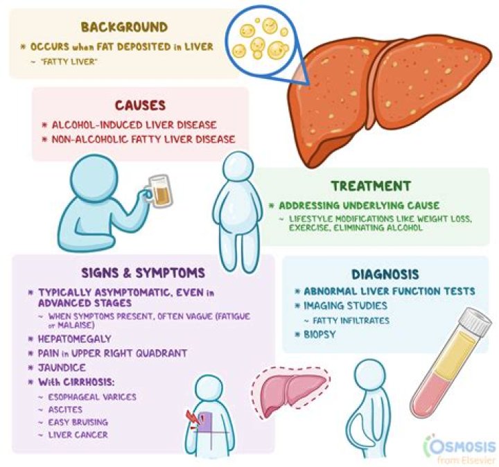 Why does liver disease cause fluid retention?