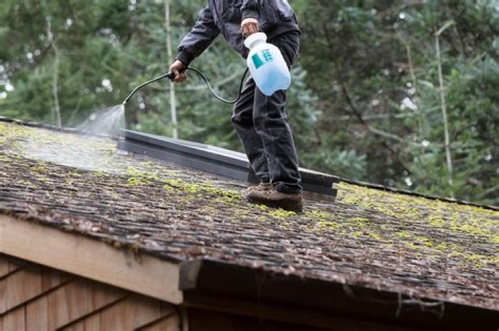 Will peroxide kill moss? | ContextResponse.com